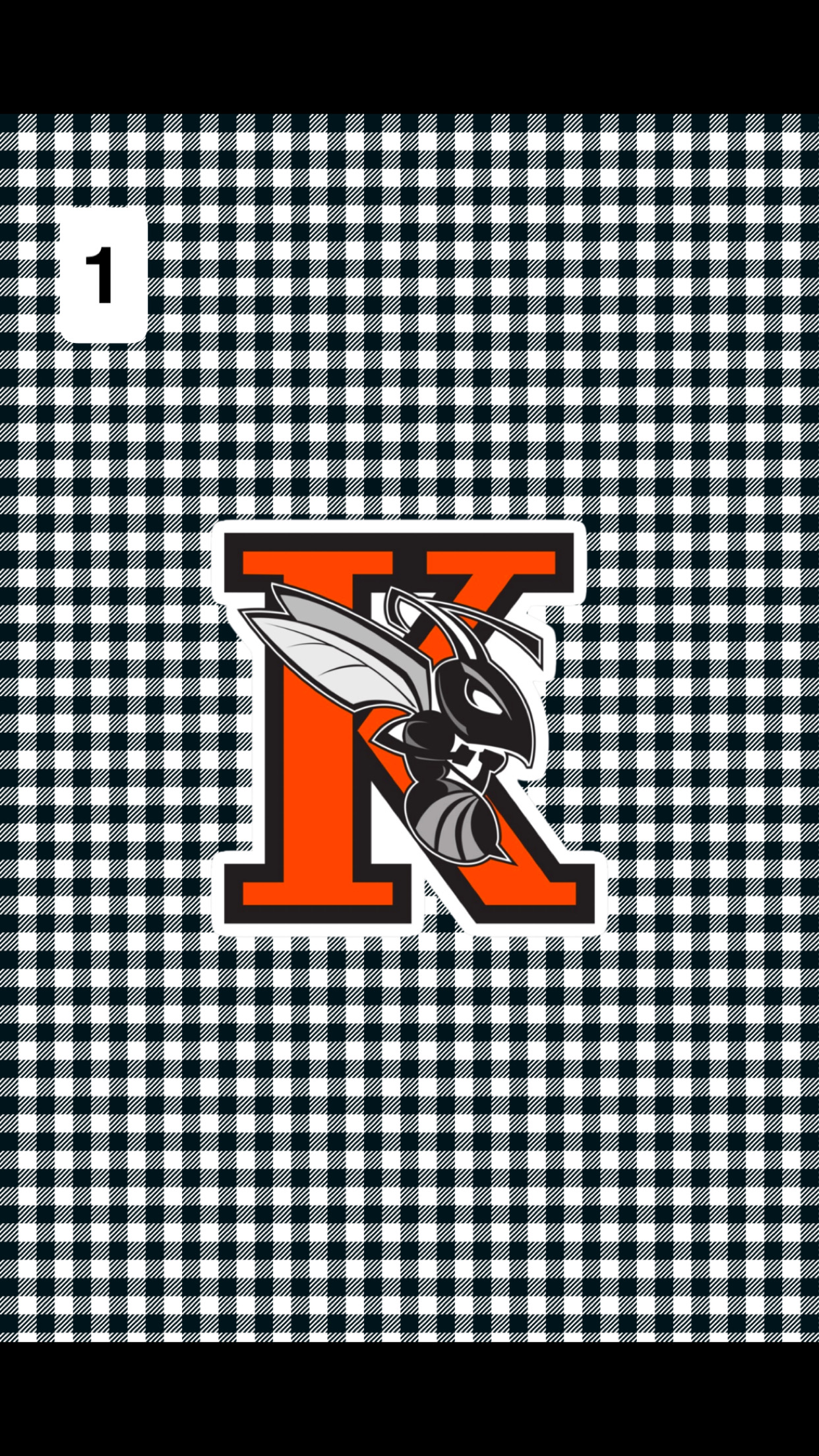 School Spirit-K College Minky Biggee