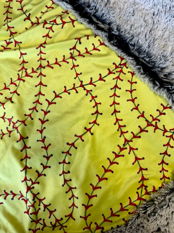 Softball Stitches- Minky Biggee - Image 2
