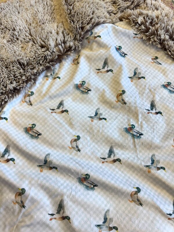 Mother Goose Gingham -Minky Biggee - Image 4