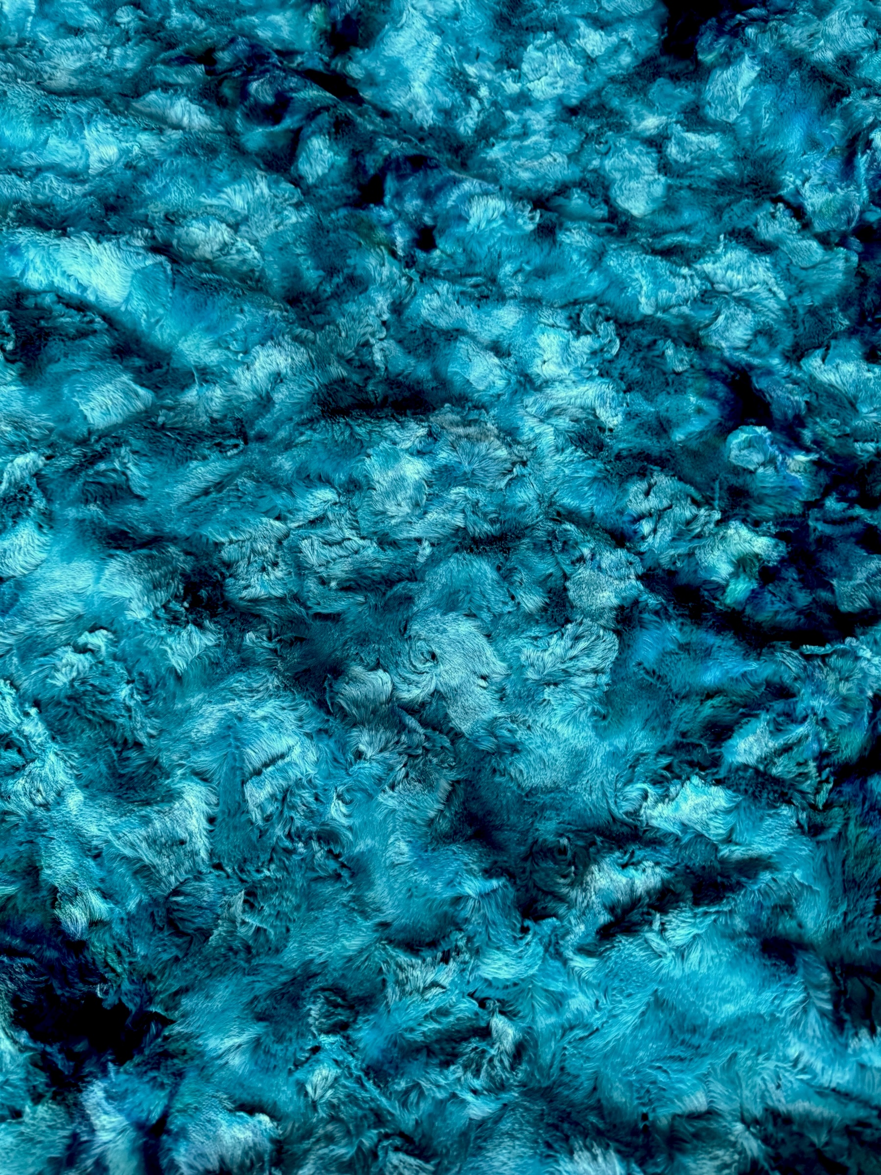 Luxe Turquoise - Double Minky - Image 4